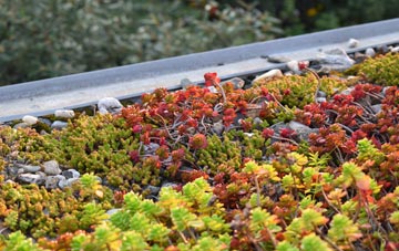 the cost of Fifehead Neville green roof installation