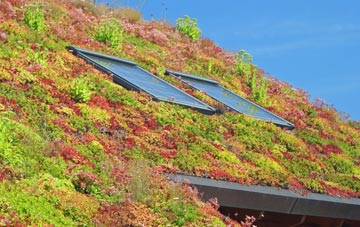 Fifehead Neville living roof systems