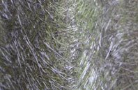 Fifehead Neville fibreglass roof work